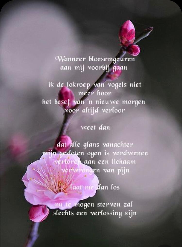 Gedicht voor Corrie Huijbregts